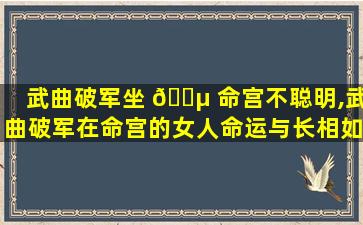 武曲破军坐 🌵 命宫不聪明,武曲破军在命宫的女人命运与长相如何